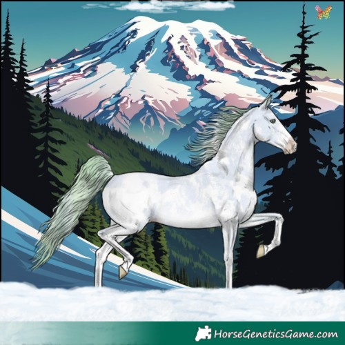 Horse Color:Watercolor White Spotted Gold Champagne Dun Sabino Rabicano