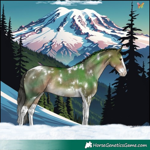 Horse Color:White Spotted Liver Red Dun Splash Tobiano Rabicano