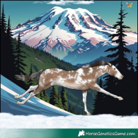 Horse Color:White Spotted Liver Red Dun Splash Rabicano