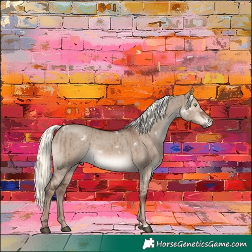 Horse Color:White Spotted Liver Red Dun Mushroom Rabicano Brindle 
