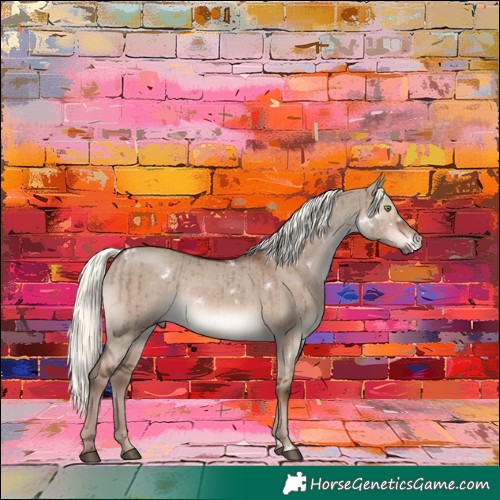 Horse Color:White Spotted Liver Red Dun Mushroom Rabicano Brindle 