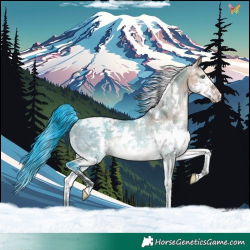 Horse Color:White Spotted Brown Dun Splash Tobiano Rabicano
