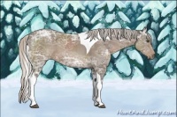 Horse Color:Silver Black Ice Sabino Tobiano 