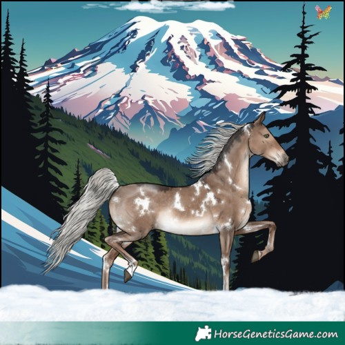 Horse Color:White Spotted Liver Red Dun Mushroom Rabicano