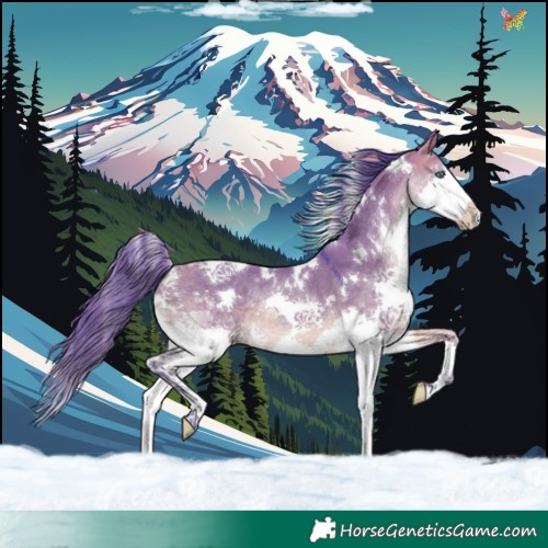 Horse Color:Watercolor White Spotted Buckskin Dun Splash Tobiano Rabicano