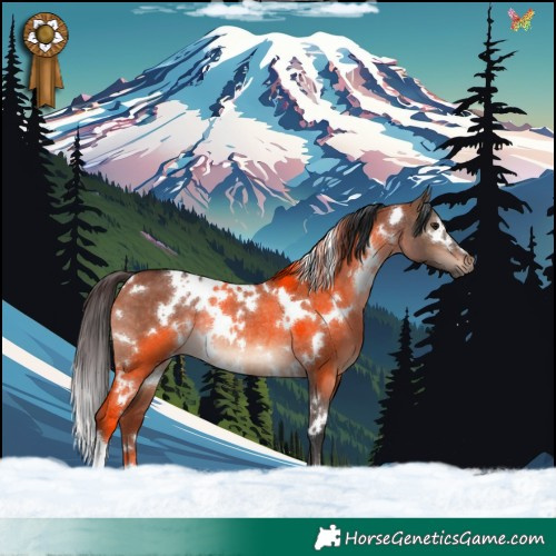 Horse Color:White Spotted Brown Dun Rabicano