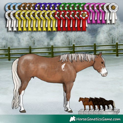 Horse Color:Silver Black Sabino Tobiano