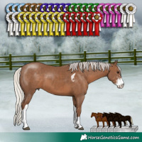 Horse Color:Silver Black Sabino Tobiano