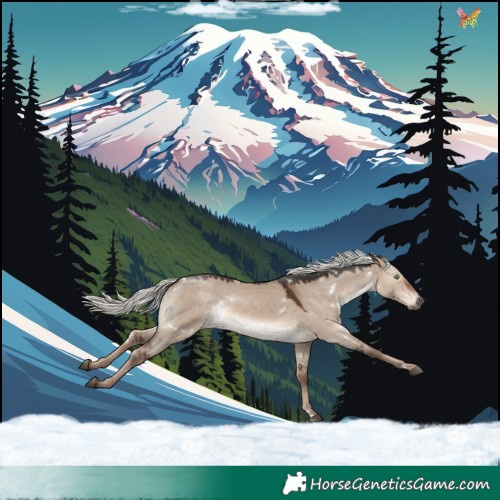 Horse Color:White Spotted Liver Red Dun Mushroom Rabicano