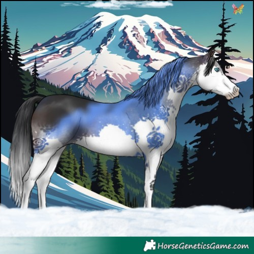 Horse Color:Brown Splash