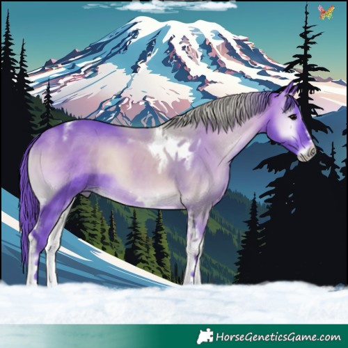 Horse Color:Watercolor Bay Onyx Tobiano Frame 