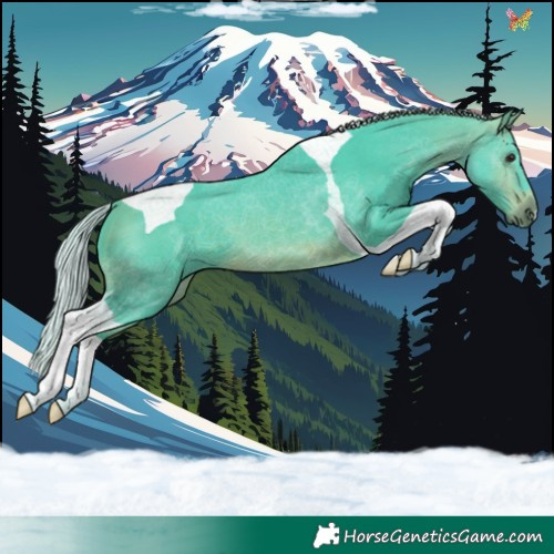 Horse Color:Platinum Watercolor Silver Brown Tobiano