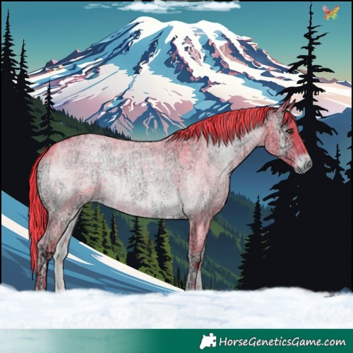 Horse Color:Platinum Watercolor Liver Red Onyx Ice Roan