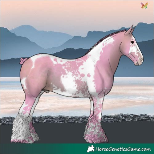 Horse Color:Watercolor Bay Splash Tobiano