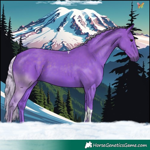 Horse Color:Watercolor Silver Smoky Black Tobiano