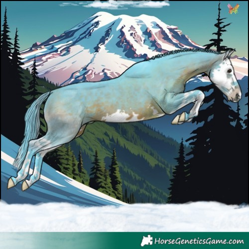 Horse Color:Watercolor Brown Splash