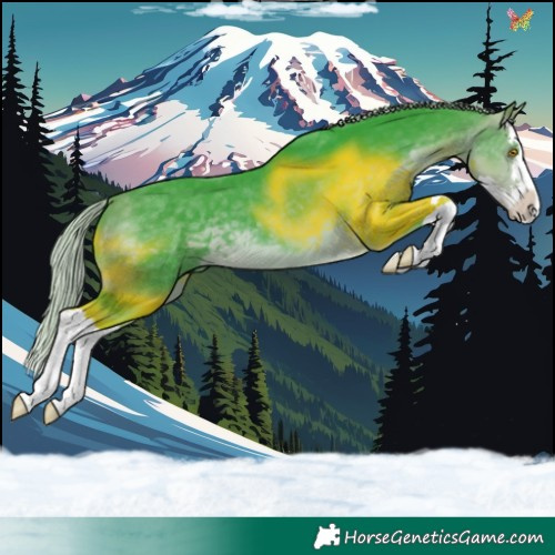Horse Color:Watercolor Silver Buckskin Splash