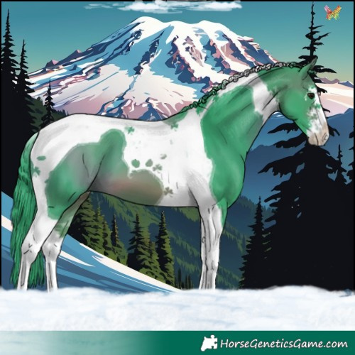 Horse Color:Watercolor White Spotted Brown Tobiano 