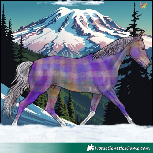 Horse Color:Watercolor Plaid Silver Brown Tobiano