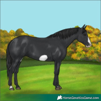 Horse Color:Black Frame