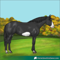 Horse Color:Black Frame