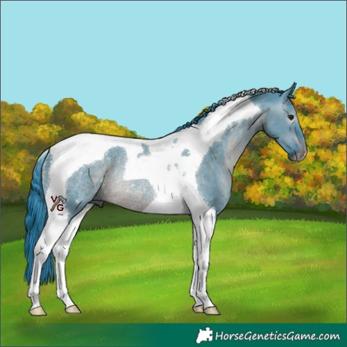Horse Color:Gray Watercolor Brown Dun Tobiano Rabicano
