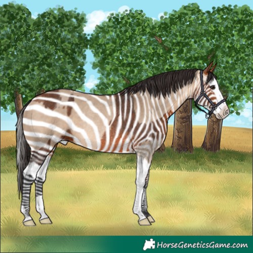 Horse Color:Bay Rabicano and Bay Dun Splash Rabicano