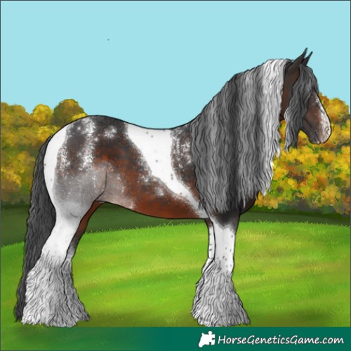Horse Color:Powder White Brown Tobiano