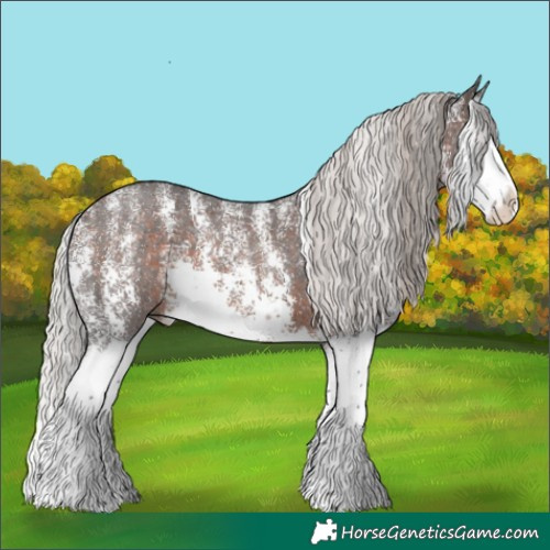 Horse Color:Powder White Silver Brown Sabino Splash