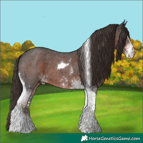 Horse Color:Liver Chestnut Sabino Tobiano