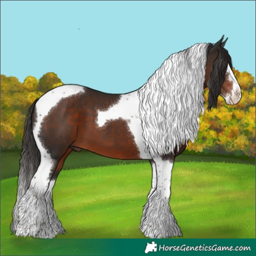 Horse Color:Liver Chestnut Splash Tobiano