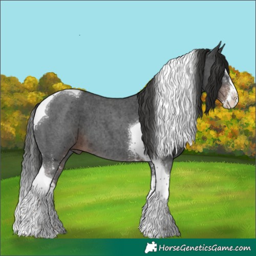 Horse Color:Liver Chestnut Sabino Splash Tobiano