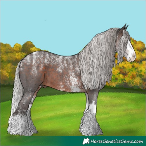 Horse Color:Powder White Silver Brown Sabino Splash 