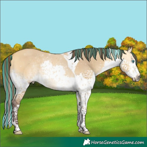 Horse Color:Painted Chocolate Buckskin Dun Splash Tobiano 