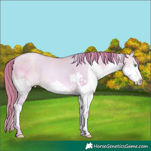 Horse Color:Watercolor Smoky Grullo Pearl Splash Tobiano