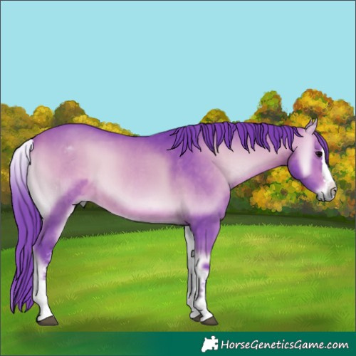 Horse Color:Watercolor White Spotted Bay Onyx Splash