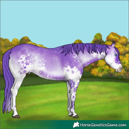 Horse Color:Watercolor White Spotted Brown Onyx Splash 