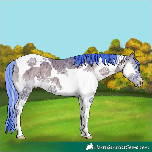 Horse Color:Watercolor Grullo Ice Onyx Splash Tobiano Rabicano 