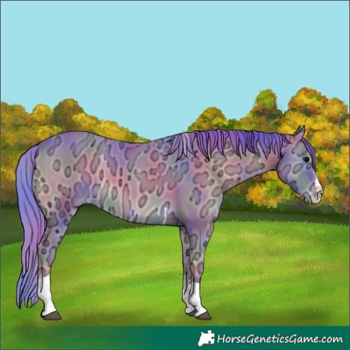 Horse Color:Nacre Watercolor Smoky Blue Onyx Ice Sabino Splash Tobiano