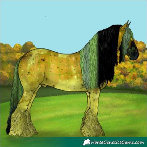 Horse Color:ERROR: UNKNOWN ANOMALY