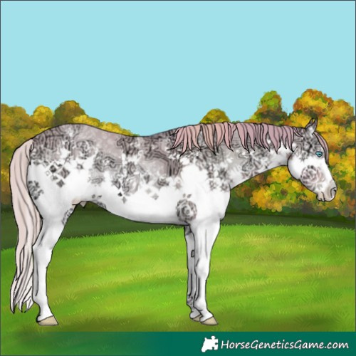 Horse Color:Watercolor Buckskin Ice Pearl Onyx Sabino Splash