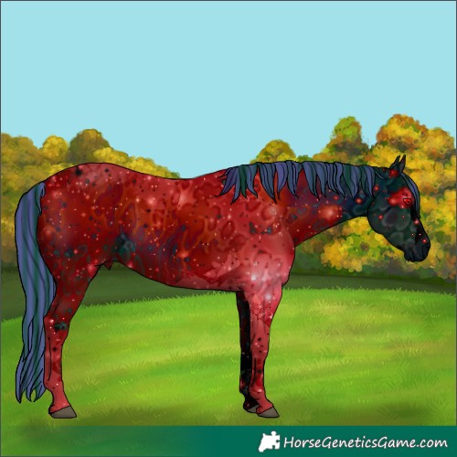 Horse Color:ERROR: UNKNOWN ANOMALY