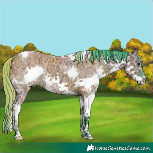Horse Color:Watercolor Grullo Ice Splash Tobiano