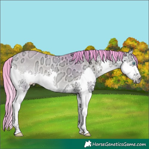 Horse Color:Watercolor Bay Ice Onyx Splash