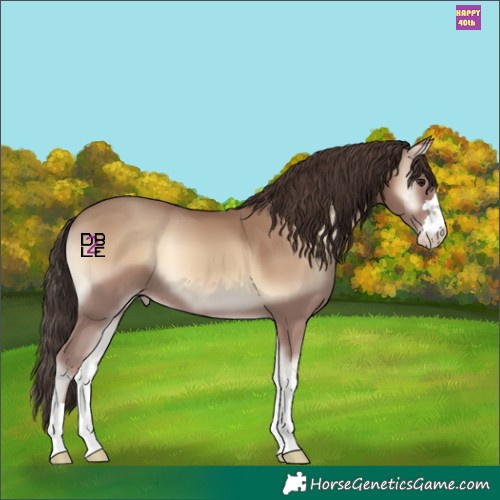 Horse Color:Classic Champagne Onyx 