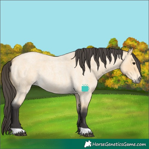 Horse Color:Buckskin Roan