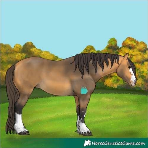 Horse Color:Buckskin
