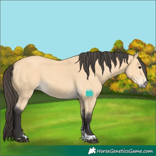Horse Color:Buckskin