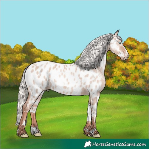Horse Color:Gold Champagne Dun Mushroom Sabino Appaloosa