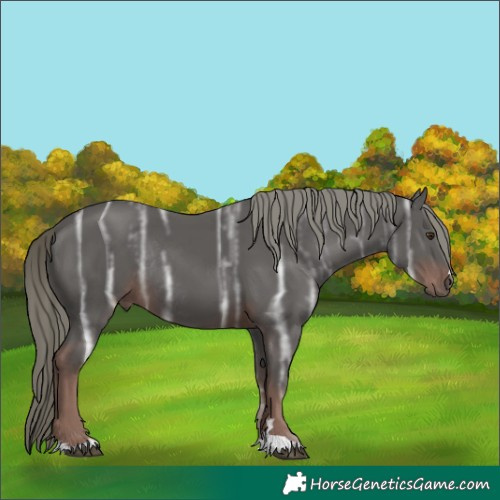 Horse Color:Liver Chestnut Ice Mushroom Rabicano